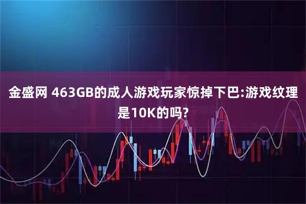 金盛网 463GB的成人游戏玩家惊掉下巴:游戏纹理是10K的吗?